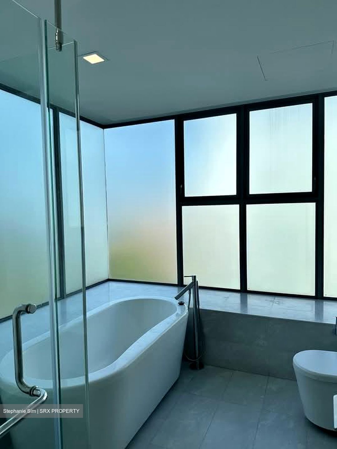 Waterfall Gardens (D10), Condominium #609562741
